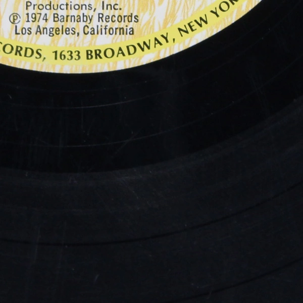 Ray Stevens Record Greatest Hits 1974 LP 12" Vinyl