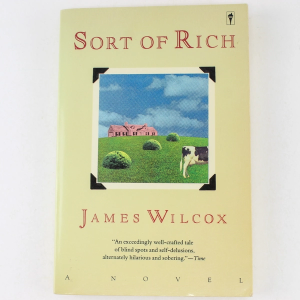 Sort of Rich by James Wilcox 1990 Paperback Novel - Good Condition