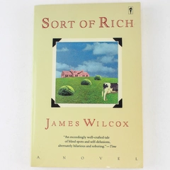 Sort of Rich by James Wilcox 1990 Paperback Novel - Good Condition