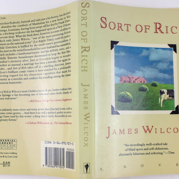 Sort of Rich by James Wilcox 1990 Paperback Novel - Good Condition