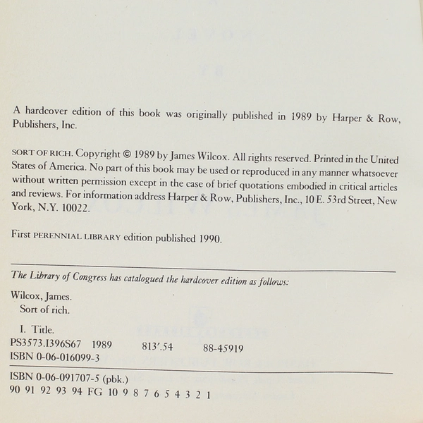 Sort of Rich by James Wilcox 1990 Paperback Novel - Good Condition