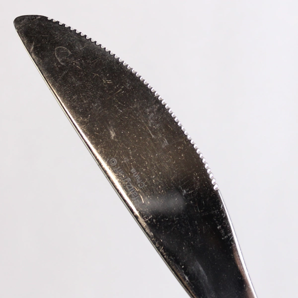 Modern Hollow Dinner Knife Pfaltzgraff SONYA 18/8 Stainless China 9"