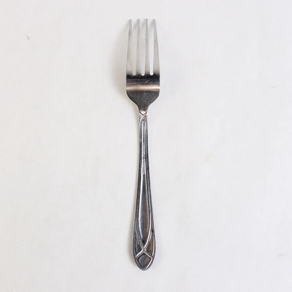 Pfaltzgraff Mirage Frost Stainless Dinner Fork