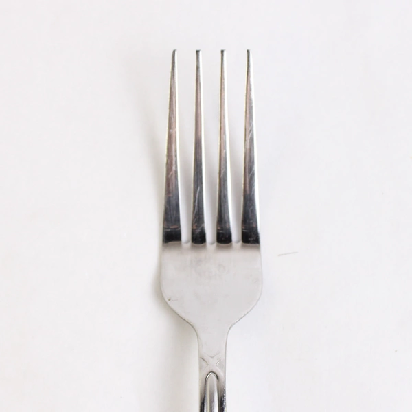 Pfaltzgraff Mirage Frost Stainless Dinner Fork
