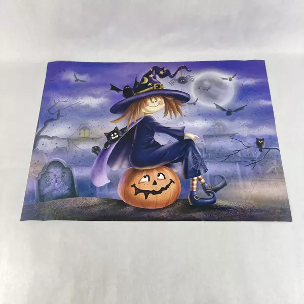 LTD Halloween Decorative Appliance Magnet Vinyl Witch Sitting on Pumpkin