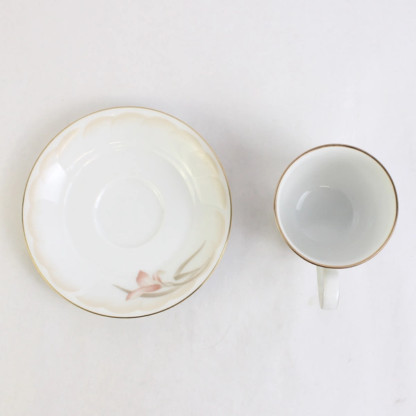 2 PC Set Noritake Ireland Sonata 3360 Ceramic Cup and Saucer