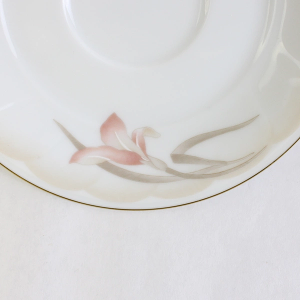 2 PC Set Noritake Ireland Sonata 3360 Ceramic Cup and Saucer