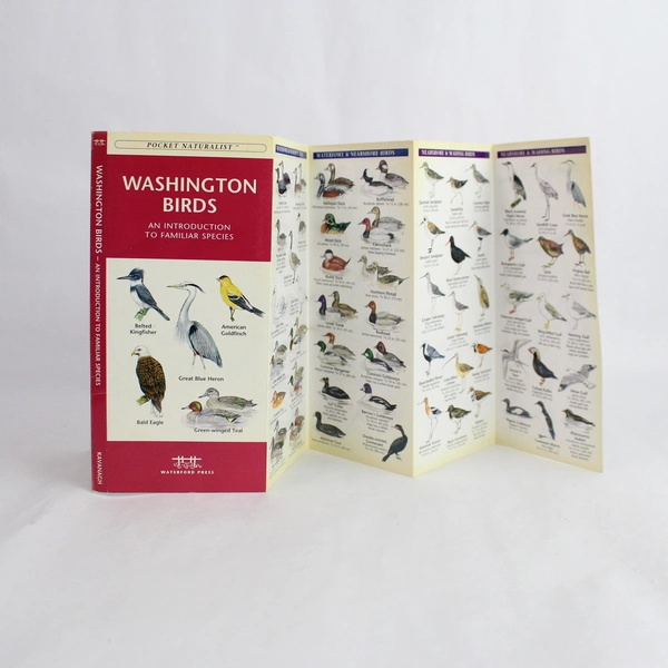 Lot of 2 Signed Kaleidoscope Yamhill River & WA Bird Pamphlet Books