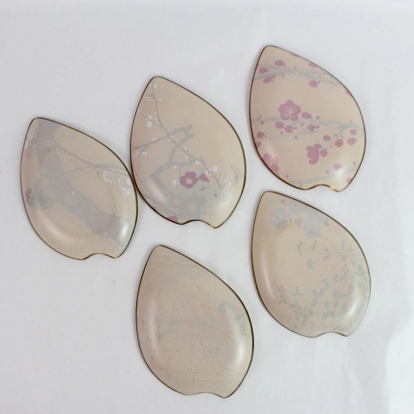 10 Piece Sogabe Glass Set of Asian Style Glasses and Dishes