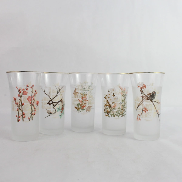 10 Piece Sogabe Glass Set of Asian Style Glasses and Dishes