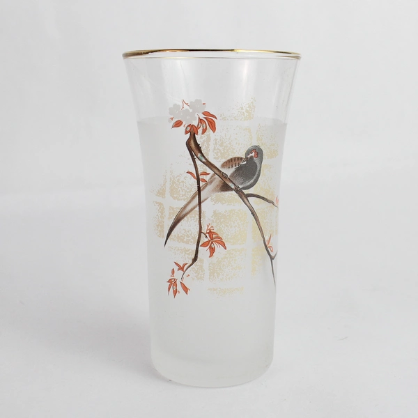 10 Piece Sogabe Glass Set of Asian Style Glasses and Dishes