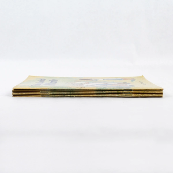 Lot of 6 "Take a Look at My Family" by Joan Thompson - Level C Phonics Books