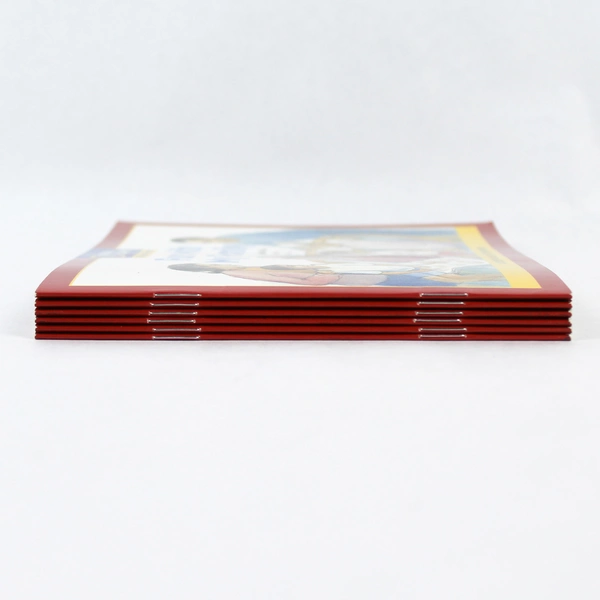 Lot of 6 National Geographic Fun With My Family Books by Annabelle Tan 2006