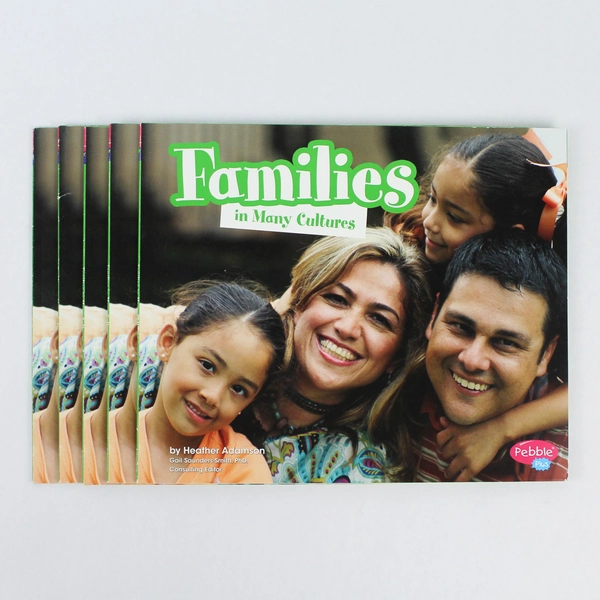 Lot of 5 Families in Many Countries by Heather Adamson 2008 PB - Pre-owned