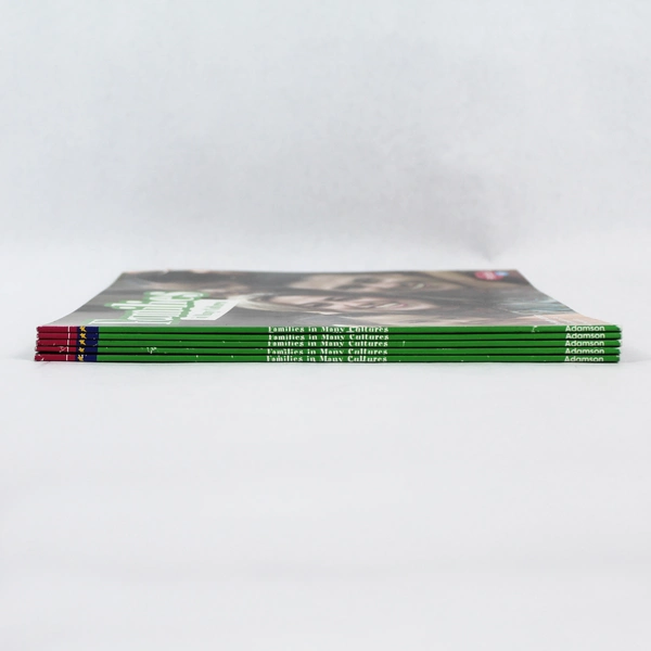 Lot of 5 Families in Many Countries by Heather Adamson 2008 PB - Pre-owned