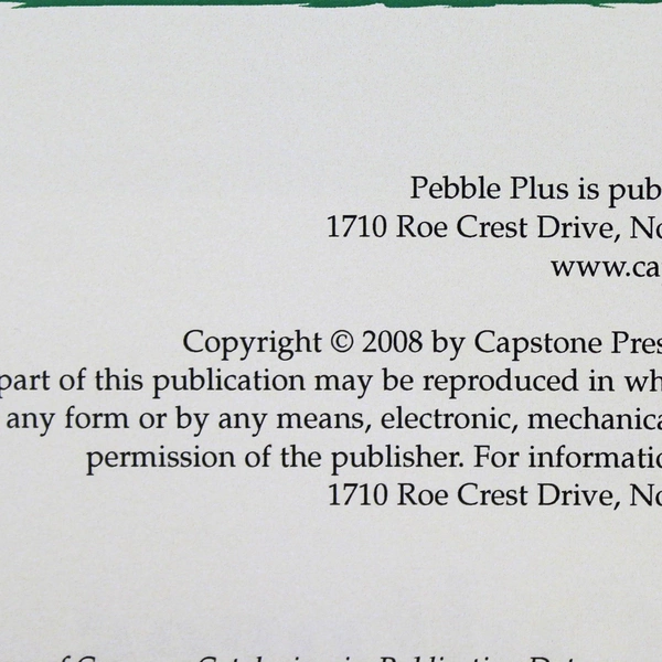 Lot of 5 Families in Many Countries by Heather Adamson 2008 PB - Pre-owned
