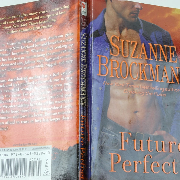 Future Perfect by Suzanne Brockmann 2011 Paperback - Good Condition
