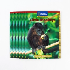 Lot of 6 Little Monkeys by Gustav Blumchen National Geographic 2005 Books