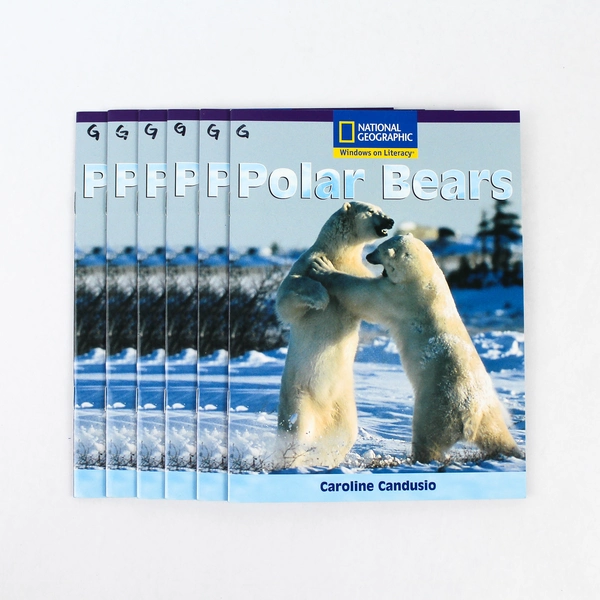 Lot of 6 National Geographic Polar Bears Books by Caroline Candusio 2003
