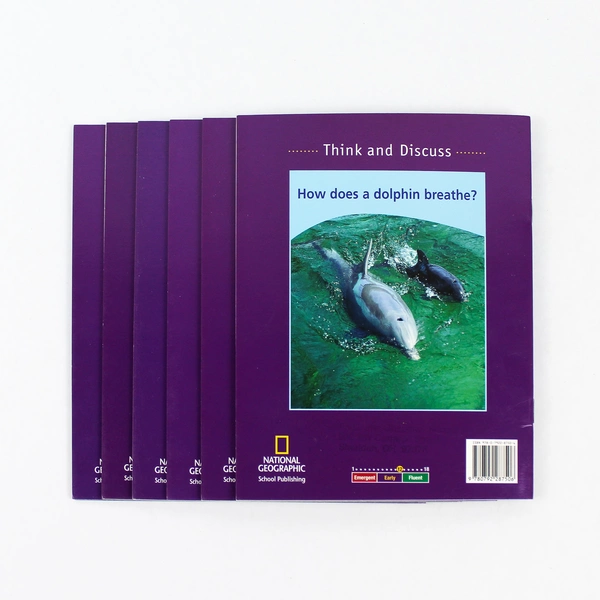 Lot of 6 What Do You Know About Dolphins? by Harley Chan 2001 Paperback Books