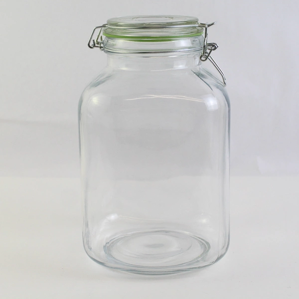 Unmarked Medium Clear Glass Canning Jar with Hinged Lid