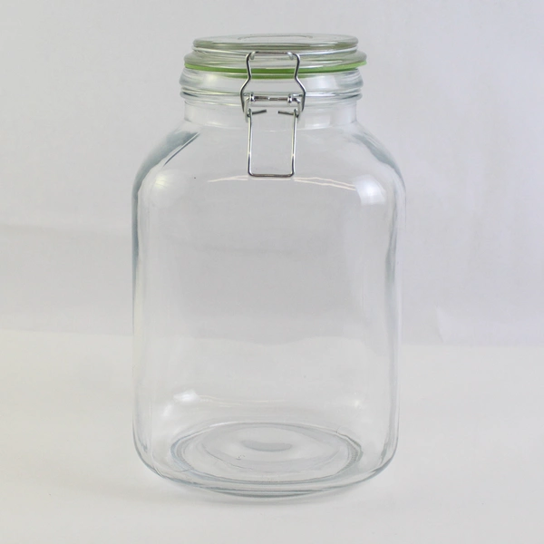 Unmarked Medium Clear Glass Canning Jar with Hinged Lid