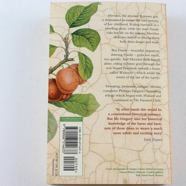 Meridon by Philippa Gregory 1990 HarperCollins Paperback - Good Condition