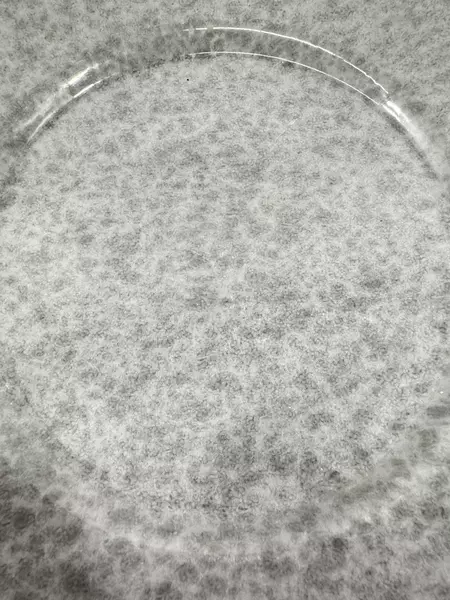 Mamma Porcelain Plate 9.75" Italy Blue Gray Speckles Good Condition