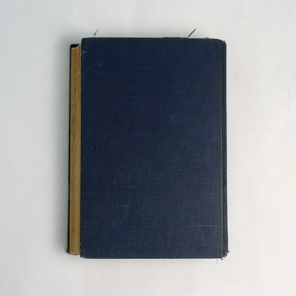 Beauty's Daughter by Kathleen Norris 1935 Hardcover