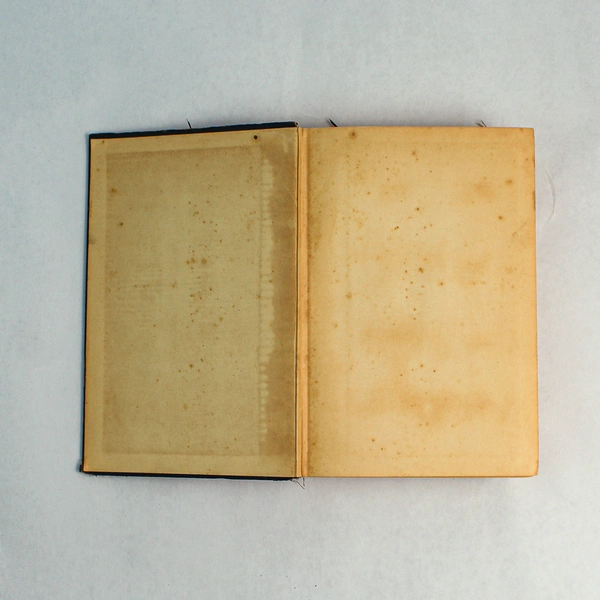 Beauty's Daughter by Kathleen Norris 1935 Hardcover