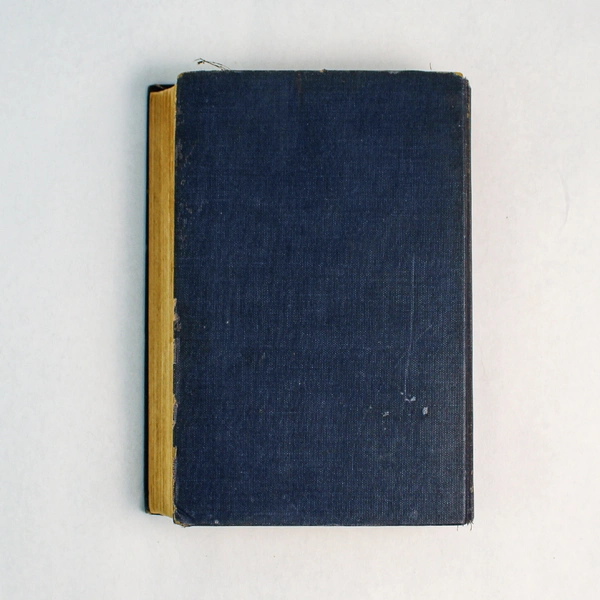 The American Flaggs by Kathleen Norris 1936 Hardcover