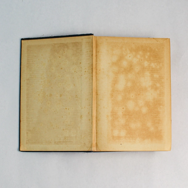 The American Flaggs by Kathleen Norris 1936 Hardcover