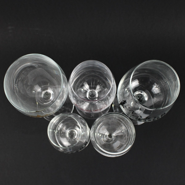 Lot of 5 Oregon Clear Wine Glasses Naked Winery Raptor Ridge Honeywood Etc.