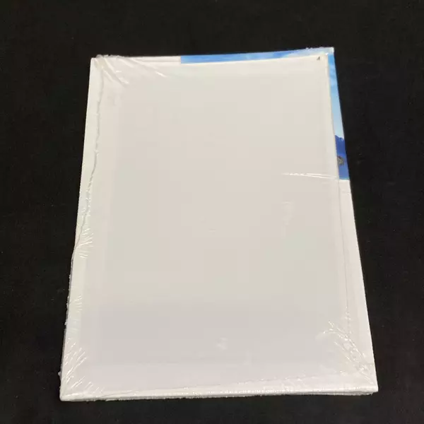 Lot of 3 Packages of 2 Greenbrier International 5 x 7 Canvas Panels For Painting