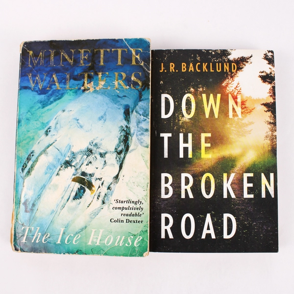 Lot of 2 Paperback Mystery Novels The Ice House Down The Broken Road