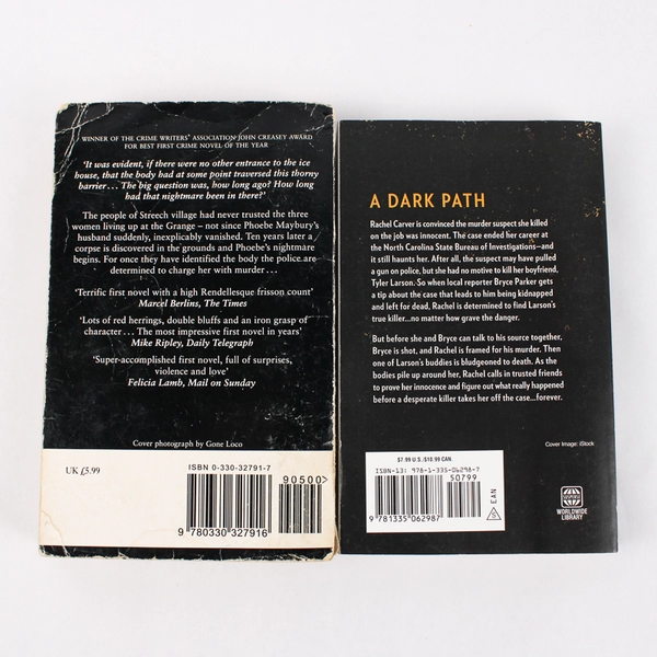 Lot of 2 Paperback Mystery Novels The Ice House Down The Broken Road