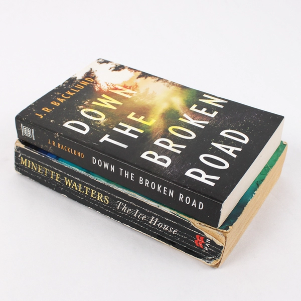 Lot of 2 Paperback Mystery Novels The Ice House Down The Broken Road