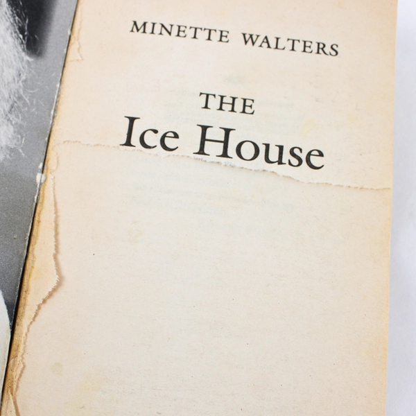 Lot of 2 Paperback Mystery Novels The Ice House Down The Broken Road