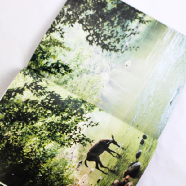 Life Looks at America the Beautiful Special Edition 1990