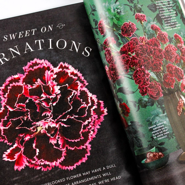 Lot of 2 Better Homes and Gardens 2017 January and February