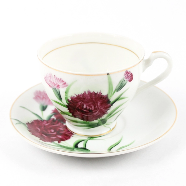 Vintage Norcrest China Cup And Saucer C-244 burgundy Carnations