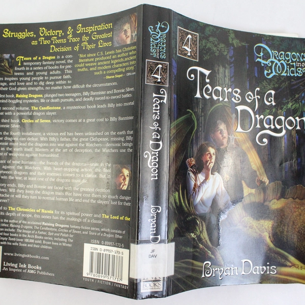 Tears of a Dragon (Dragons in Our Midst #4) by Bryan Davis 2005 PB