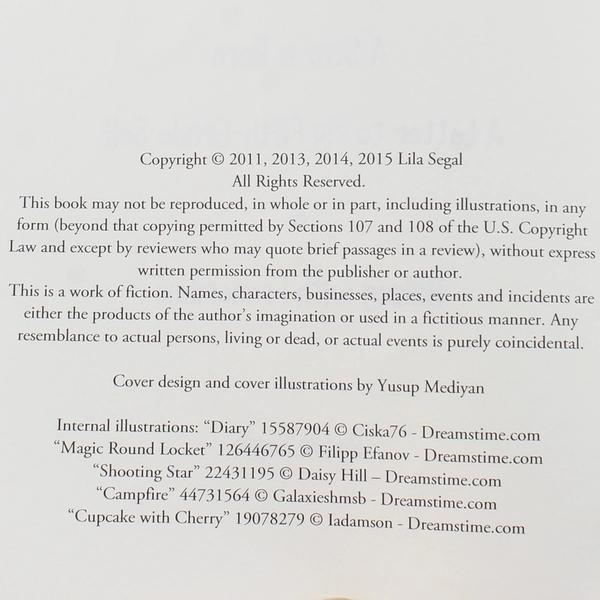 The Diary of Janie Ray by Lila Segal - Kids Paperback, Grade 5