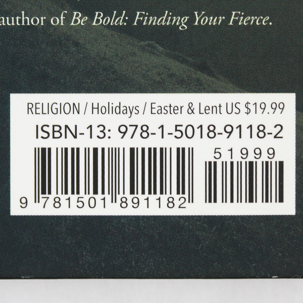 The Walk by Adam Hamilton HC 2019 | Five Essential Practices Christian Life