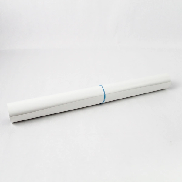 Great Gray Owl Glossy Poster Print 16 x 22 Inch