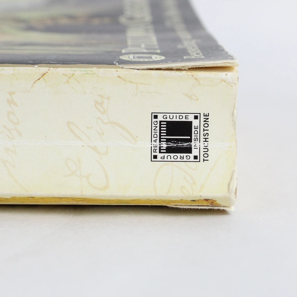 The Queen's Fool by Philippa Gregory 2004 Touchstone Paperback - Pre-Owned