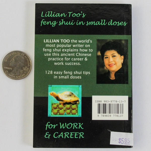 128 Easy Tips for Work & Career by Lillian Too Feng Shui Paperback