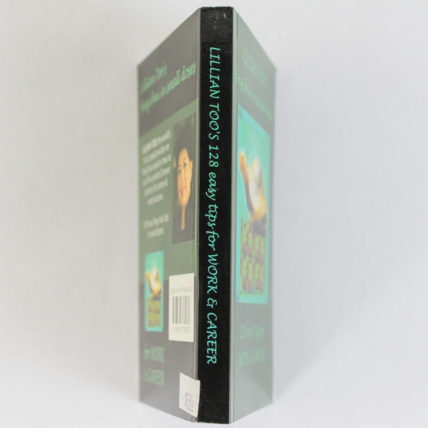 128 Easy Tips for Work & Career by Lillian Too Feng Shui Paperback