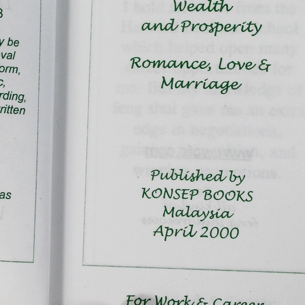 128 Easy Tips for Work & Career by Lillian Too Feng Shui Paperback