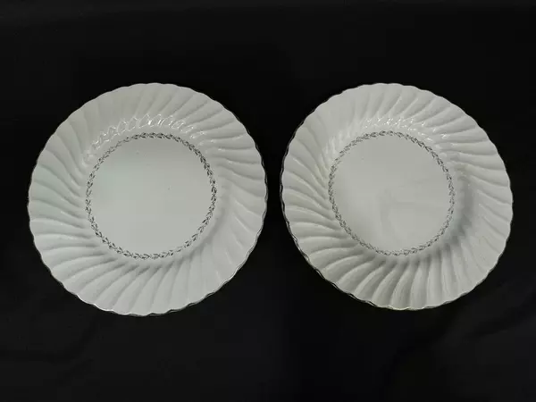 Lot of 2 Homer Laughlin Arcadia 10.25" Dinner Plates Ribbed Platinum Edge